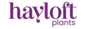 Hayloft Plants - Accelerate logo